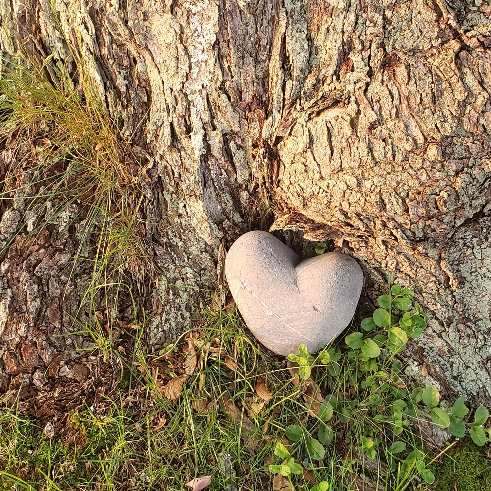 Kindness Within - Picture 4 of 6